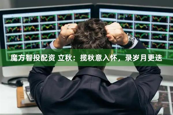 魔方智投配资 立秋：揽秋意入怀，录岁月更迭