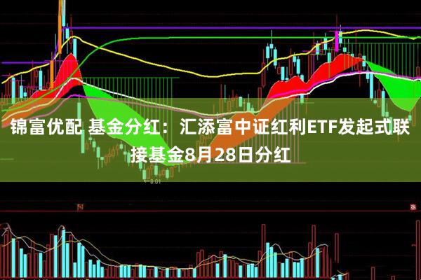 锦富优配 基金分红：汇添富中证红利ETF发起式联接基金8月28日分红
