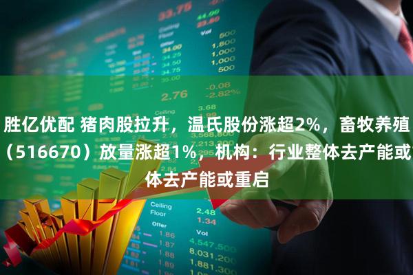 胜亿优配 猪肉股拉升，温氏股份涨超2%，畜牧养殖ETF（516670）放量涨超1%，机构：行业整体去产能或重启